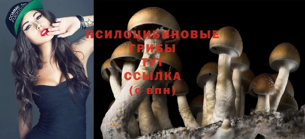 прущие крисы Беломорск
