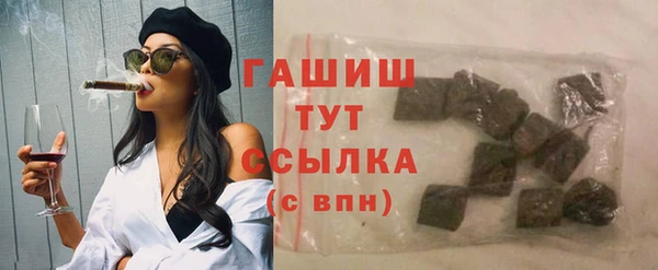 индика Каменногорск