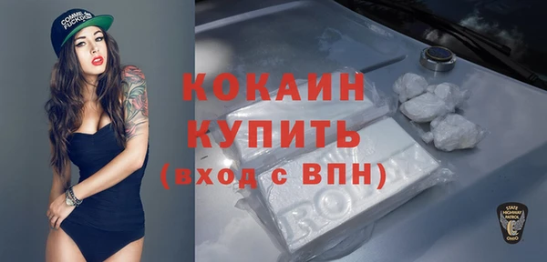 mdpv Богородицк