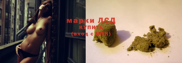 mdpv Богородицк