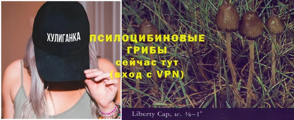 каннабис Богданович