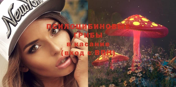 каннабис Богданович