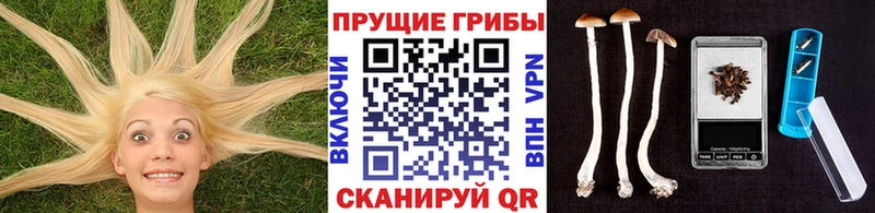 Галлюциногенные грибы GOLDEN TEACHER  Невельск 